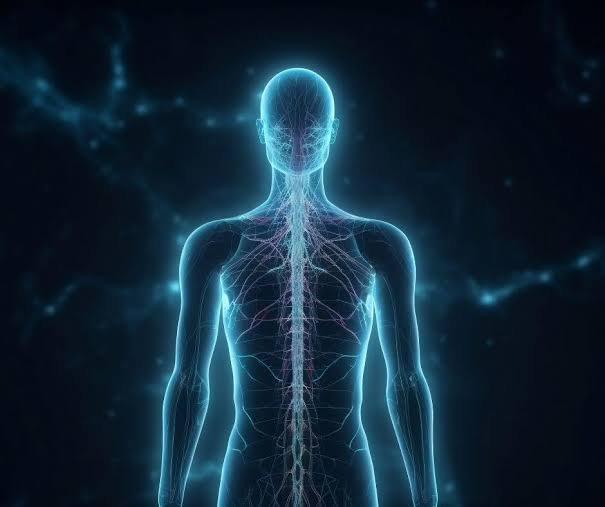 10 Interesting Facts About the Human Body