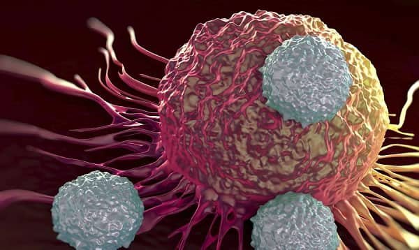 10 Interesting Facts About Cancer Disease