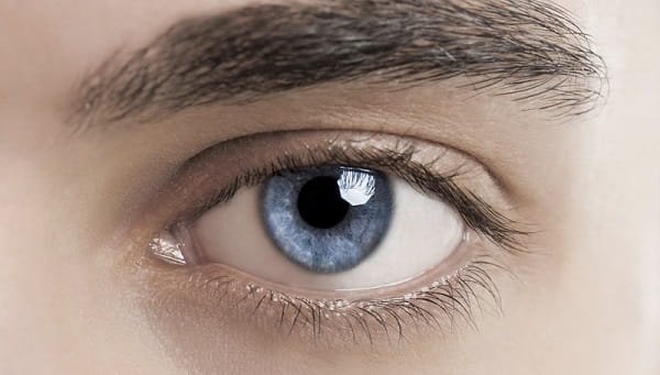 10 Interesting Facts About the Human Eye
